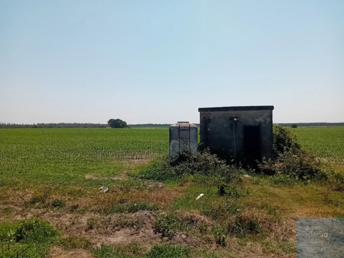 Terreno para Venda em Pegões Foto 10