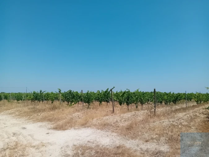 Terreno para Venda em Pegões Foto 14
