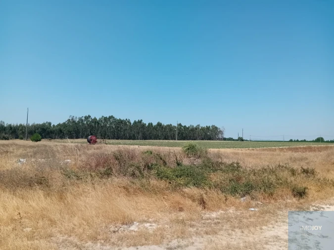 Terreno para Venda em Pegões Foto 21