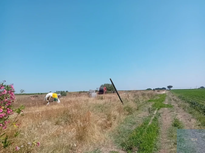 Terreno para Venda em Pegões Foto 25