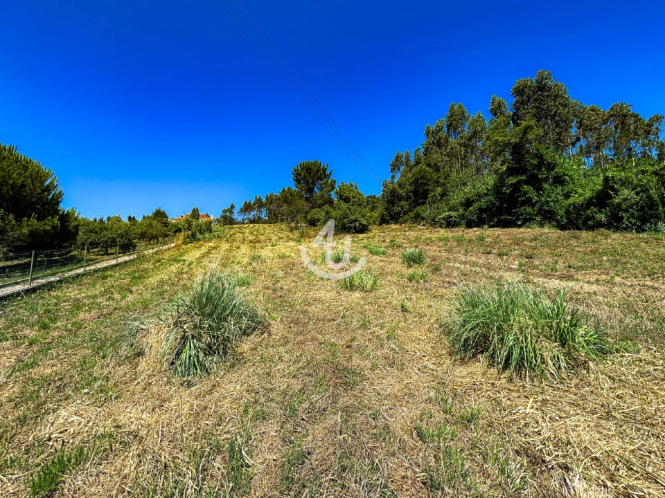 Terreno para Venda em Maiorga Foto 3