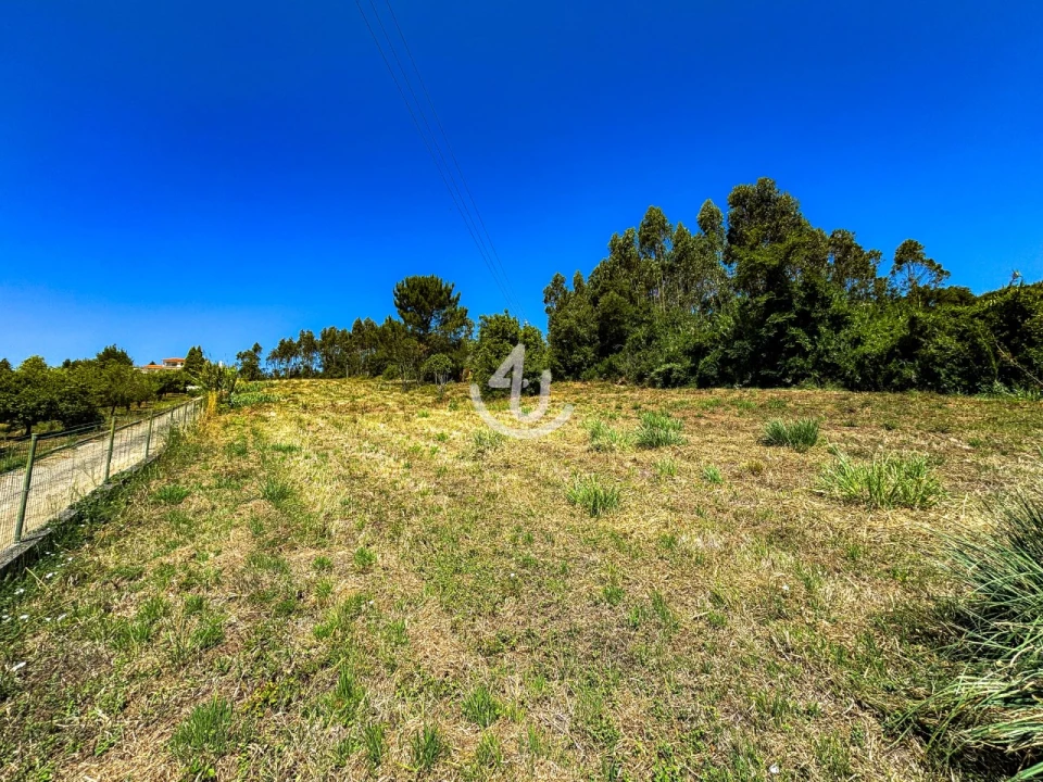 Terreno para Venda em Maiorga Foto 4