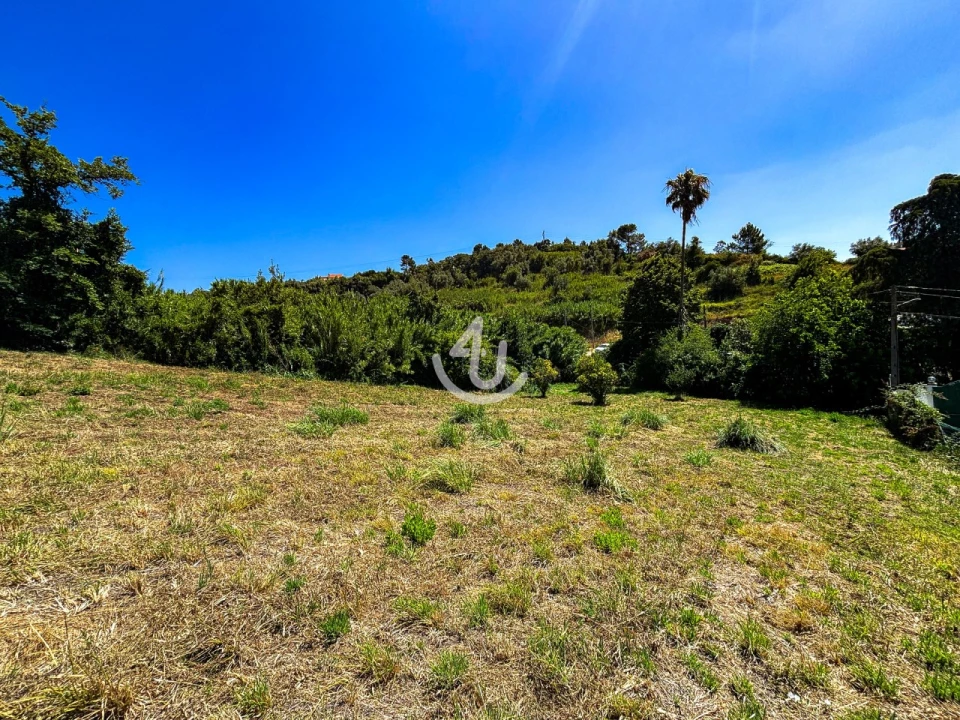 Terreno para Venda em Maiorga Foto 5