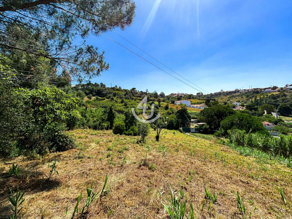 Terreno para Venda em Maiorga Foto 7