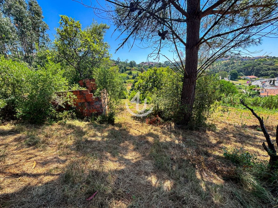 Terreno para Venda em Maiorga Foto 13