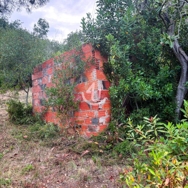 Terreno para Venda em Maiorga Foto 14