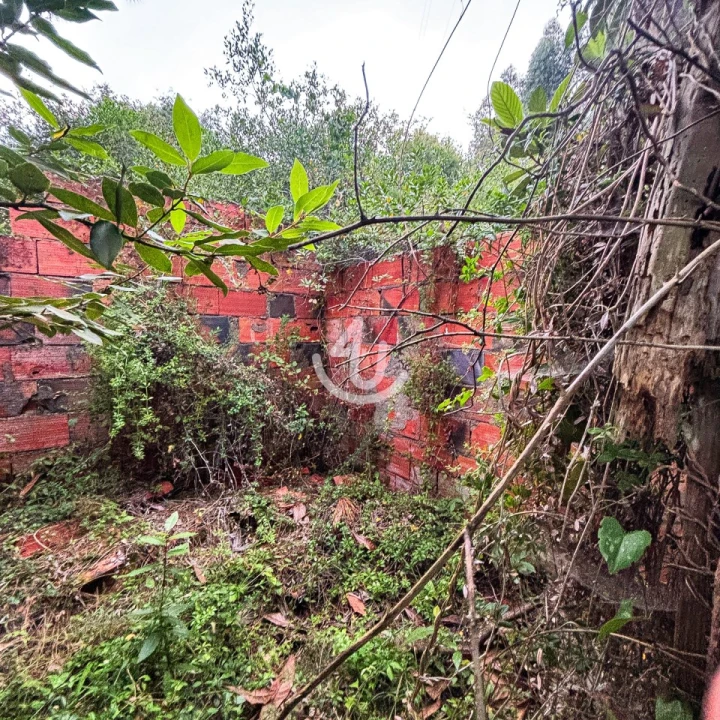 Terreno para Venda em Maiorga Foto 15