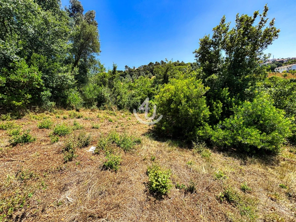 Terreno para Venda em Maiorga Foto 18