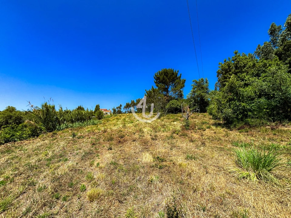 Terreno para Venda em Maiorga Foto 19