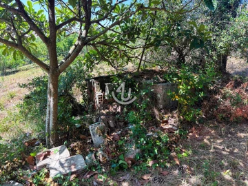 Terreno para Venda em Maiorga