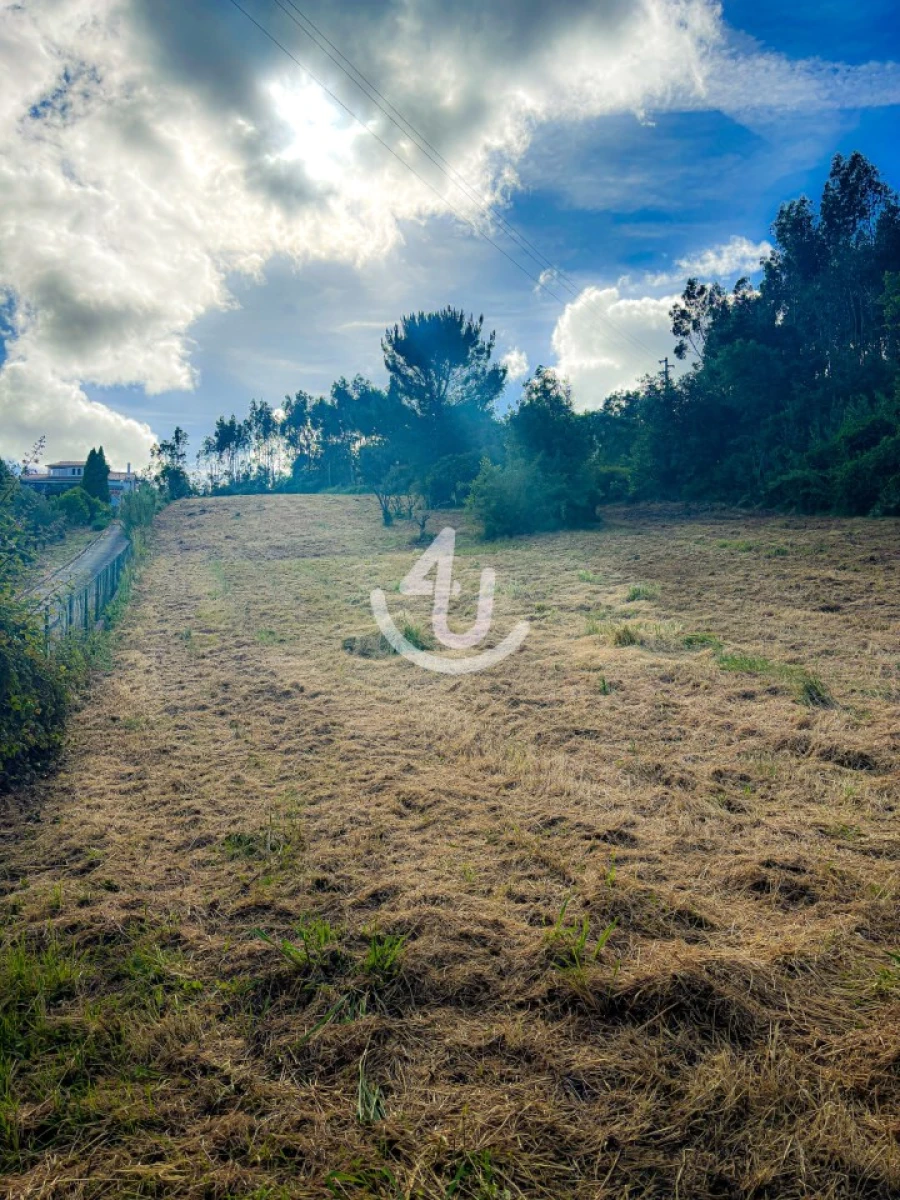 Terreno para Venda em Maiorga Foto 9