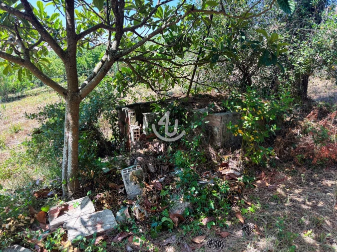 Terreno para Venda em Maiorga Foto 16