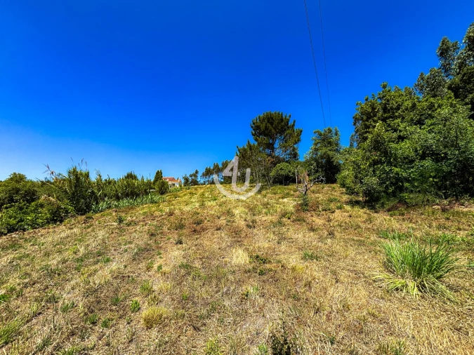 Terreno para Venda em Maiorga Foto 19