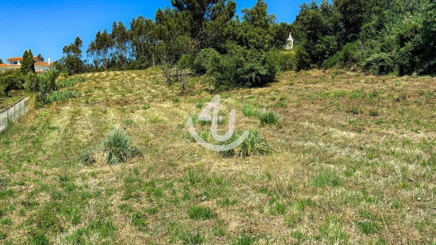 Terreno para Venda em Maiorga