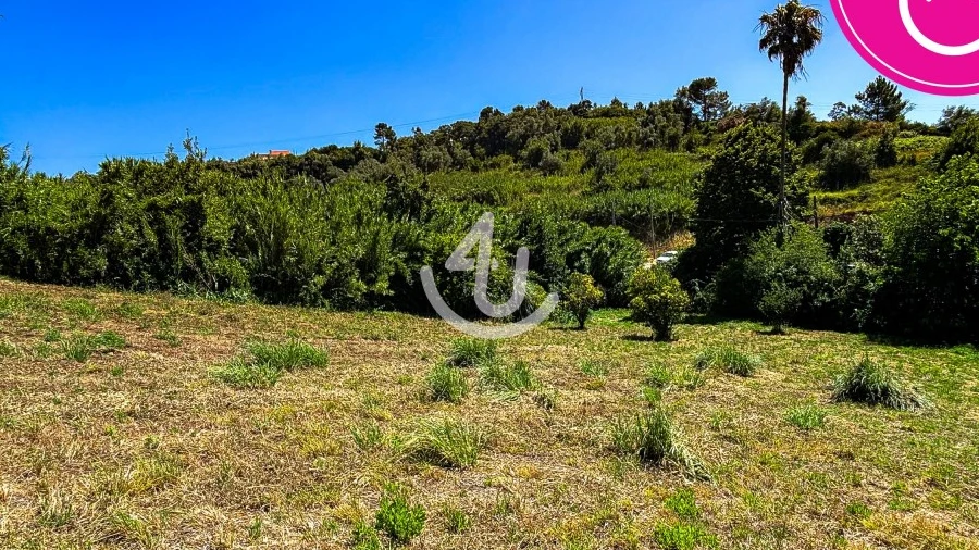 Terreno para Venda em Maiorga