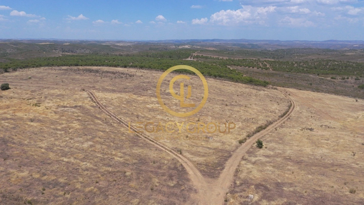 Terreno para Venda em Alcoutim e Pereiro Foto 14