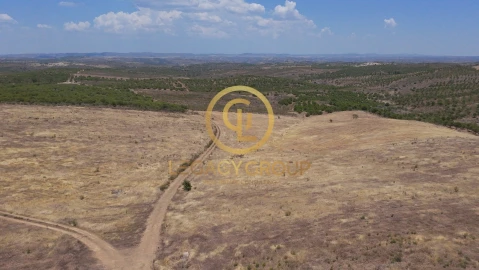 Terreno para Venda em Alcoutim e Pereiro