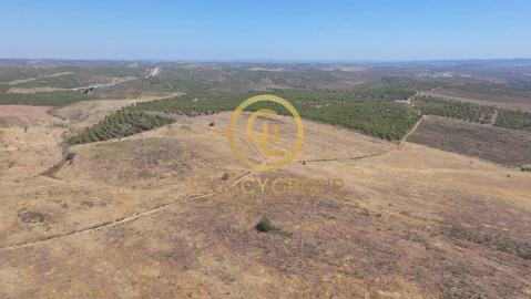 Terreno para Venda em Alcoutim e Pereiro
