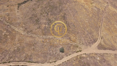 Terreno para Venda em Alcoutim e Pereiro