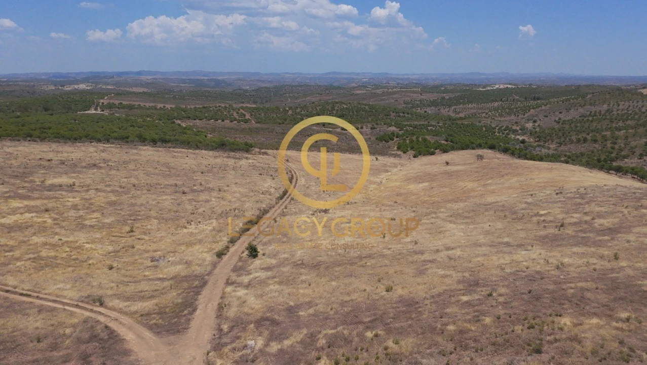 Terreno para Venda em Alcoutim e Pereiro Foto 16