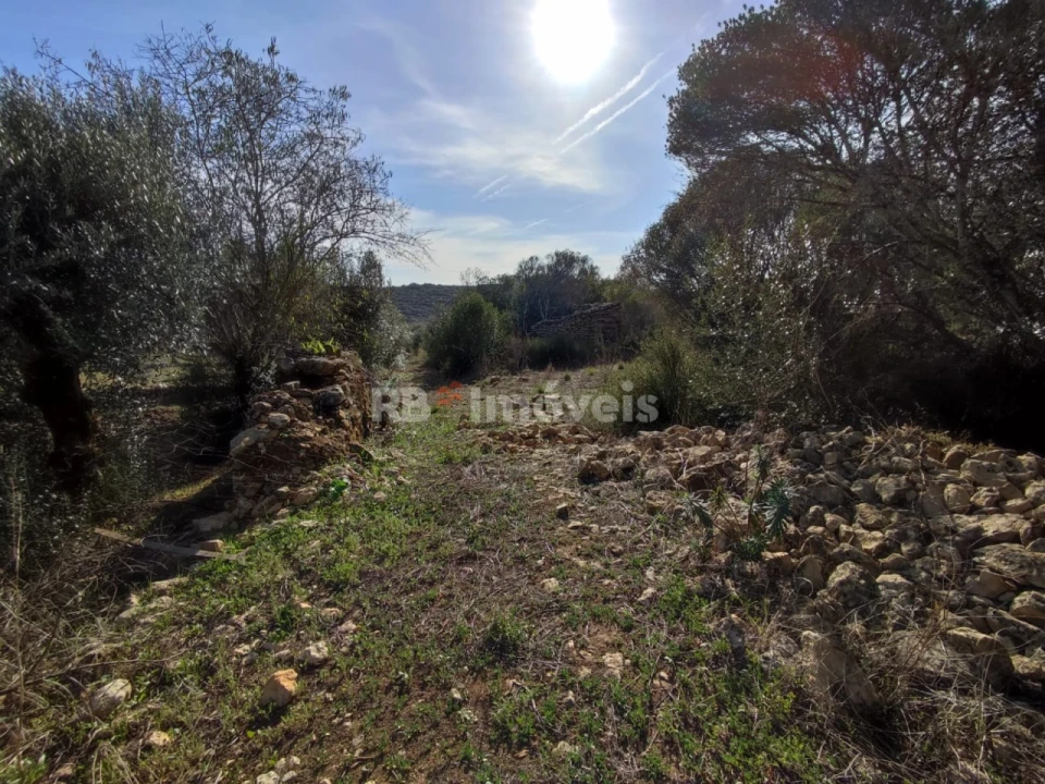 Terreno Agricola ou Rústico para Venda em Além da Ribeira e Pedreira Foto 7
