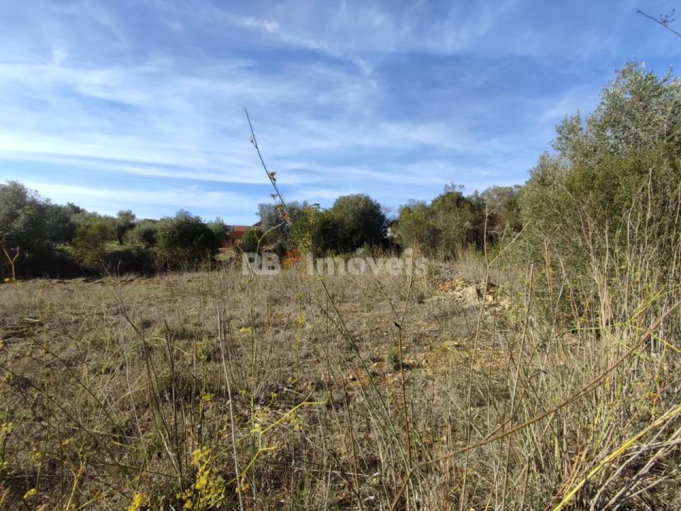 Terreno Agricola ou Rústico para Venda em Além da Ribeira e Pedreira Foto 1