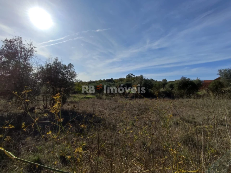 Terreno Agricola ou Rústico para Venda em Além da Ribeira e Pedreira Foto 5