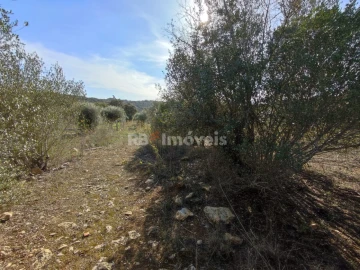Terreno Agricola ou Rústico para Venda em Além da Ribeira e Pedreira