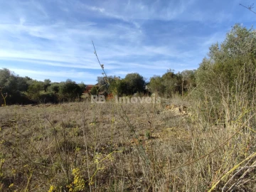 Terreno Agricola ou Rústico para Venda em Além da Ribeira e Pedreira