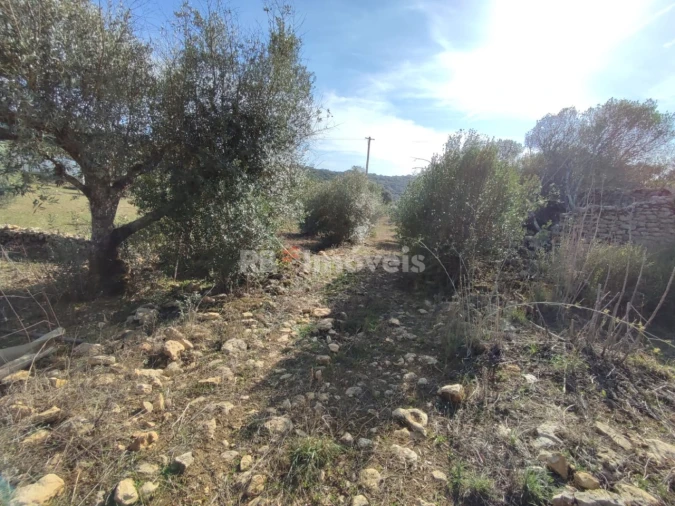 Terreno Agricola ou Rústico para Venda em Além da Ribeira e Pedreira Foto 6