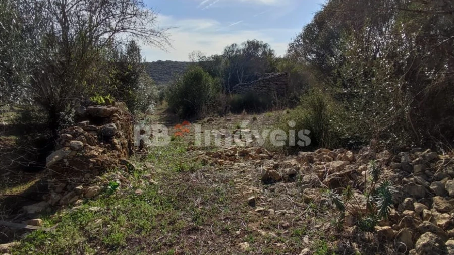 Terreno Agricola ou Rústico para Venda em Além da Ribeira e Pedreira