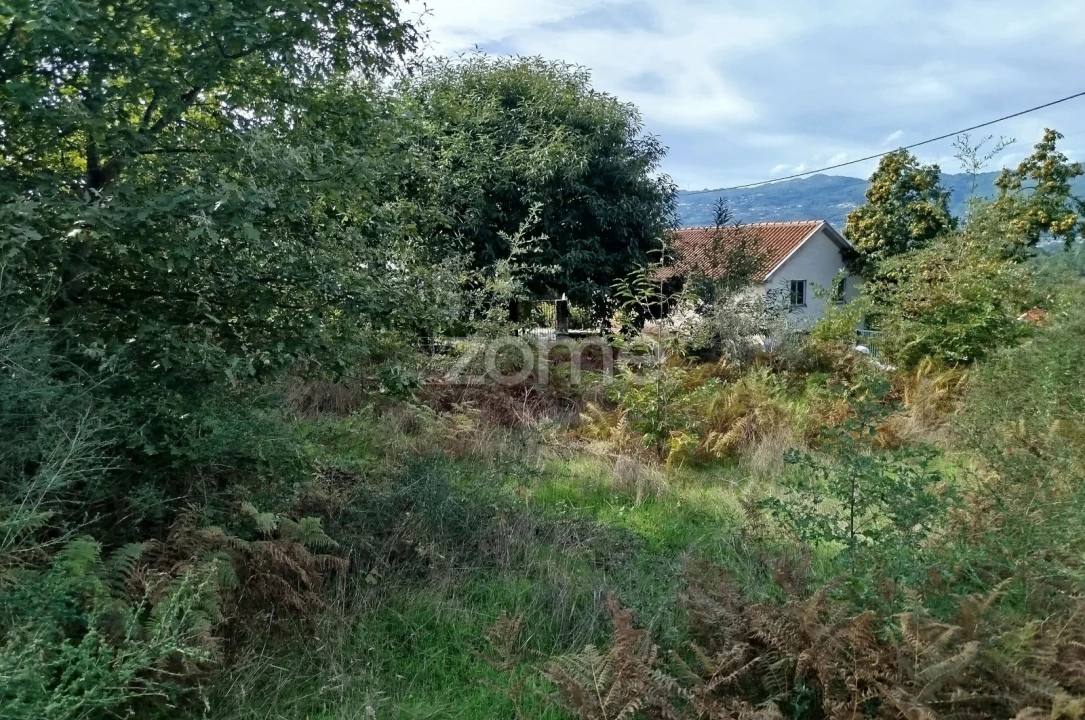 Terreno para Venda em Vilar de Besteiros e Mosteiro de Fráguas Foto 32
