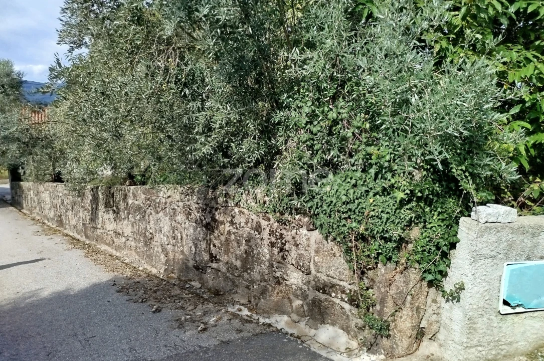 Terreno para Venda em Vilar de Besteiros e Mosteiro de Fráguas Foto 43