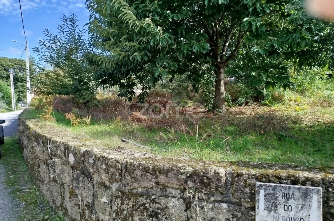Terreno para Venda em Vilar de Besteiros e Mosteiro de Fráguas Foto 51