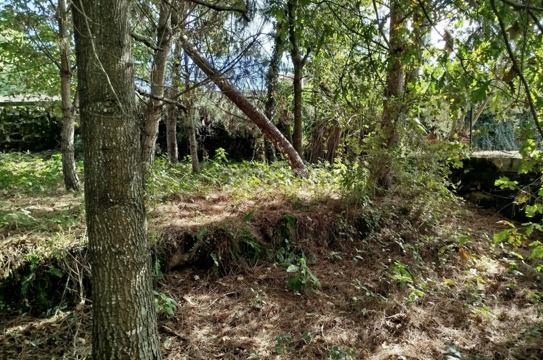 Terreno para Venda em Vilar de Besteiros e Mosteiro de Fráguas Foto 3