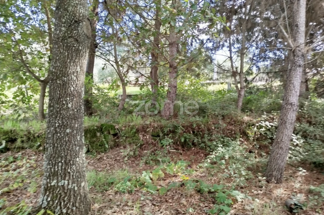 Terreno para Venda em Vilar de Besteiros e Mosteiro de Fráguas Foto 10