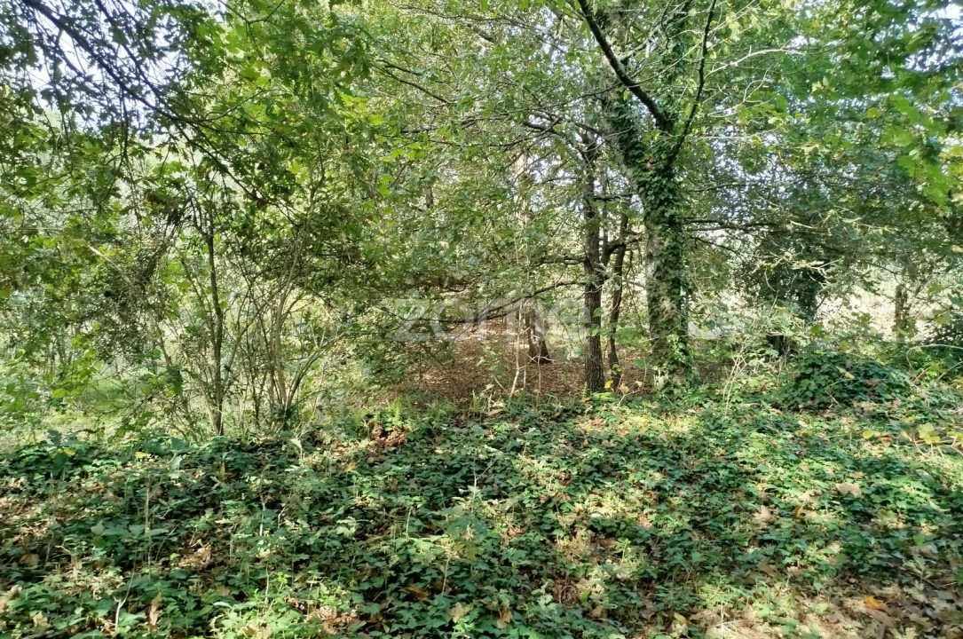 Terreno para Venda em Vilar de Besteiros e Mosteiro de Fráguas Foto 15