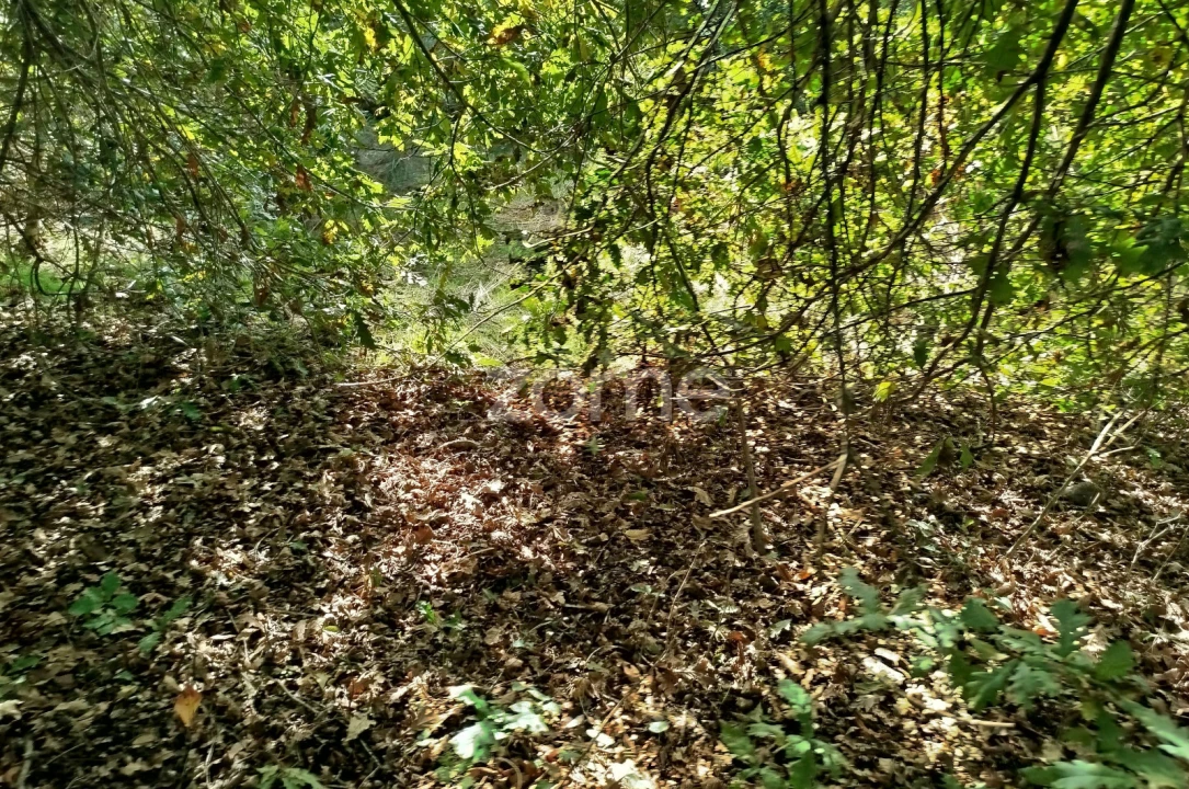 Terreno para Venda em Vilar de Besteiros e Mosteiro de Fráguas Foto 8
