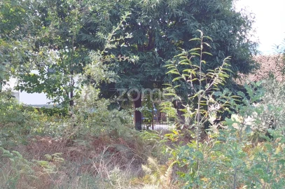 Terreno para Venda em Vilar de Besteiros e Mosteiro de Fráguas