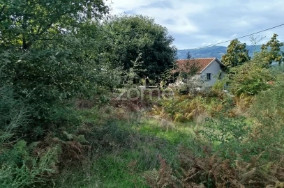 Terreno para Venda em Vilar de Besteiros e Mosteiro de Fráguas
