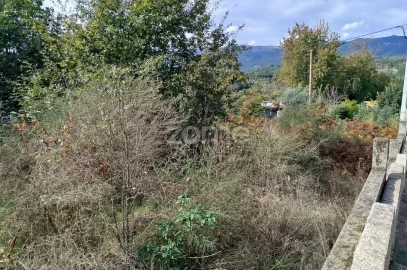 Terreno para Venda em Vilar de Besteiros e Mosteiro de Fráguas