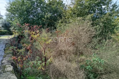Terreno para Venda em Vilar de Besteiros e Mosteiro de Fráguas