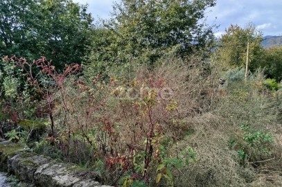 Terreno para Venda em Vilar de Besteiros e Mosteiro de Fráguas