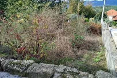 Terreno para Venda em Vilar de Besteiros e Mosteiro de Fráguas