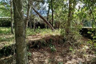Terreno para Venda em Vilar de Besteiros e Mosteiro de Fráguas