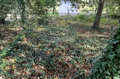 Terreno para Venda em Vilar de Besteiros e Mosteiro de Fráguas