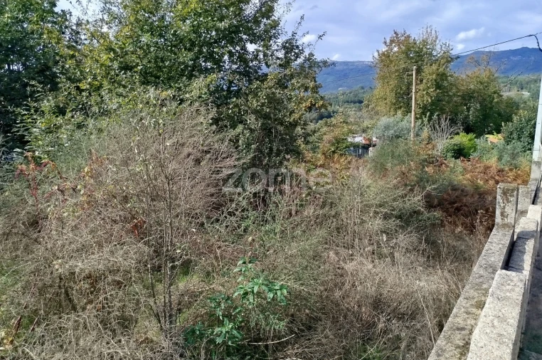 Terreno para Venda em Vilar de Besteiros e Mosteiro de Fráguas Foto 33