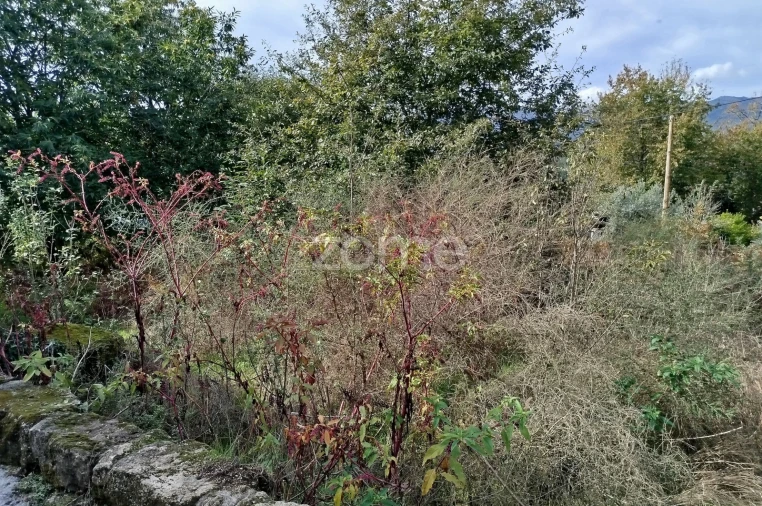 Terreno para Venda em Vilar de Besteiros e Mosteiro de Fráguas Foto 37