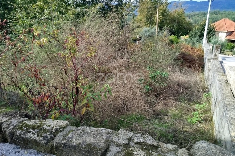 Terreno para Venda em Vilar de Besteiros e Mosteiro de Fráguas Foto 38