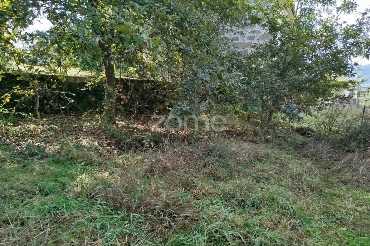 Terreno para Venda em Vilar de Besteiros e Mosteiro de Fráguas Foto 6